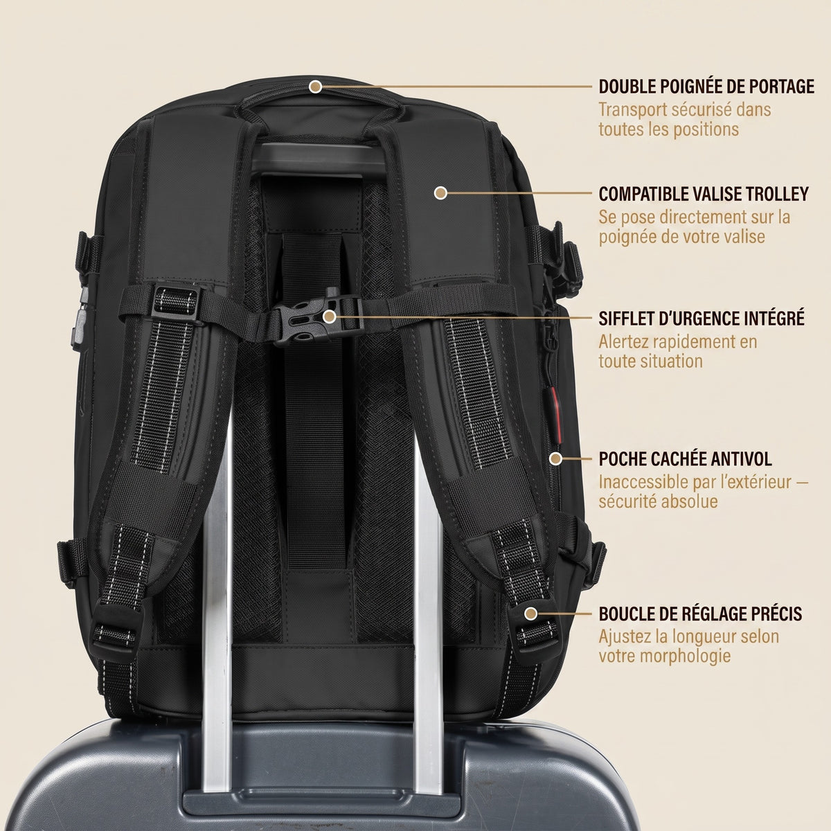 Envol Air (Cabine)